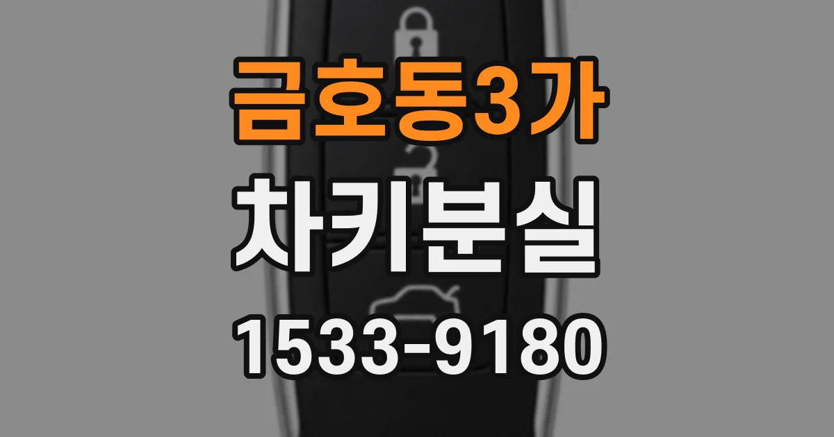 금호동3가 차키분실