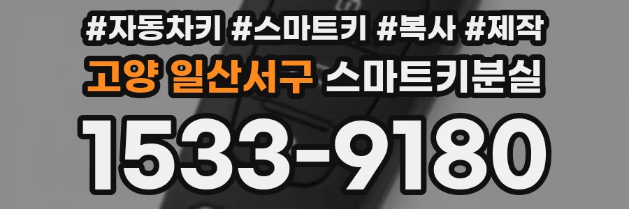 고양 일산서구 스마트키분실