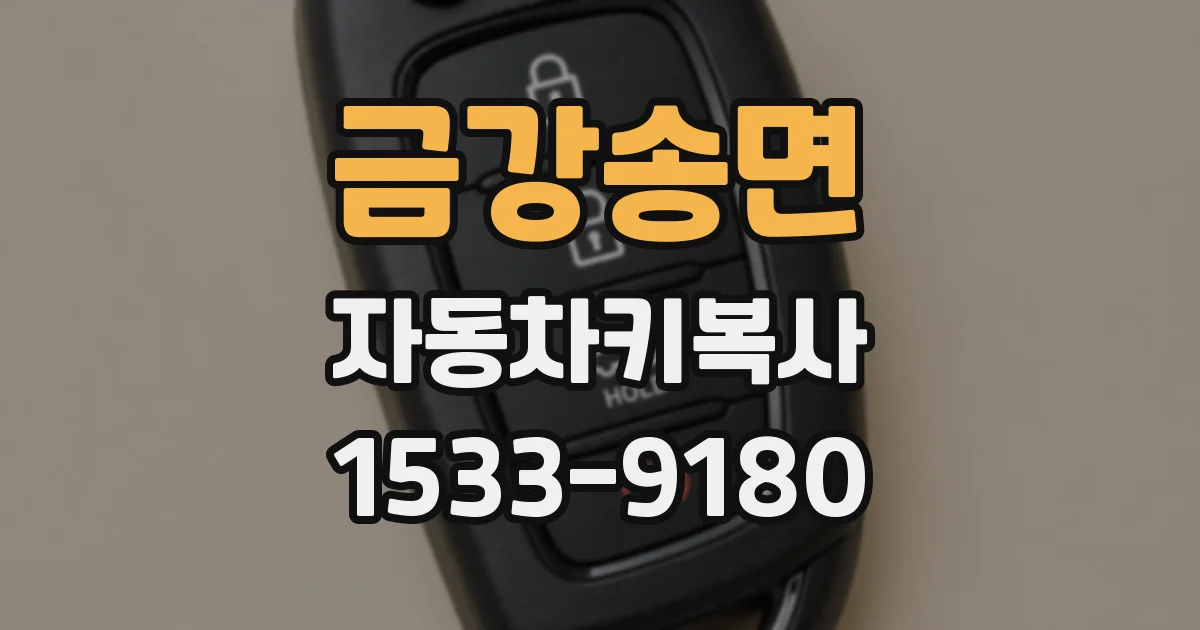 금강송면 자동차키복사