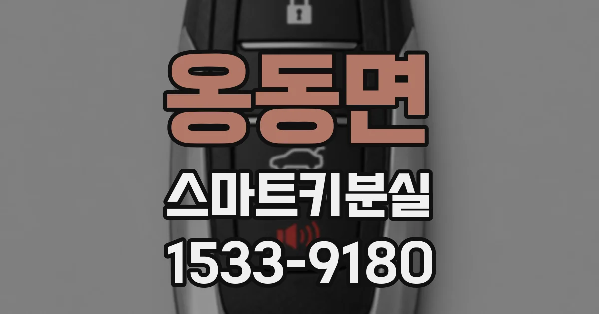 옹동면 스마트키분실