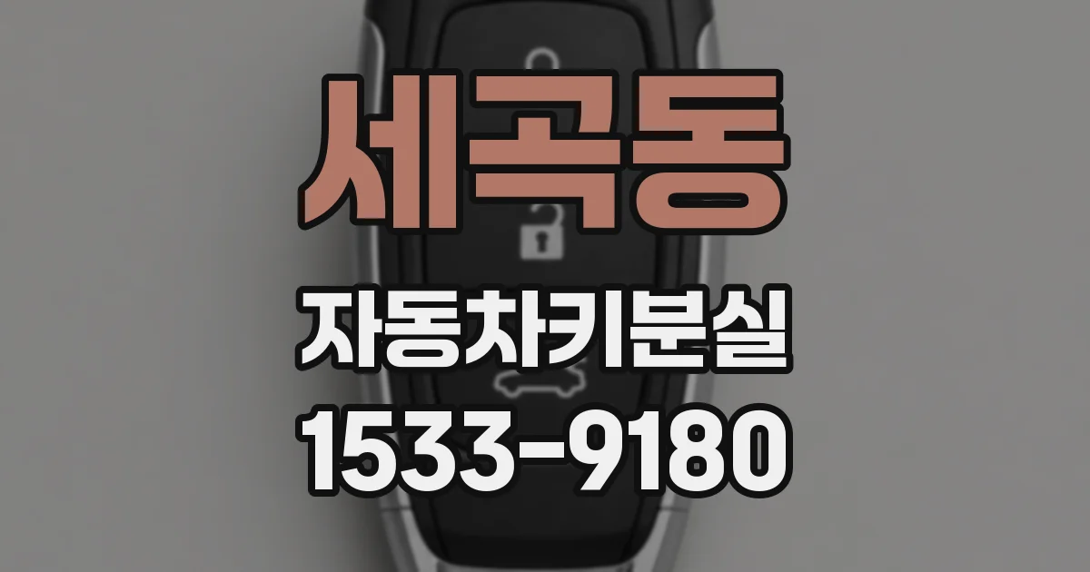 세곡동 자동차키분실