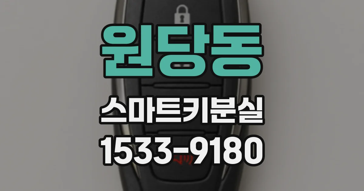 원당동 스마트키분실