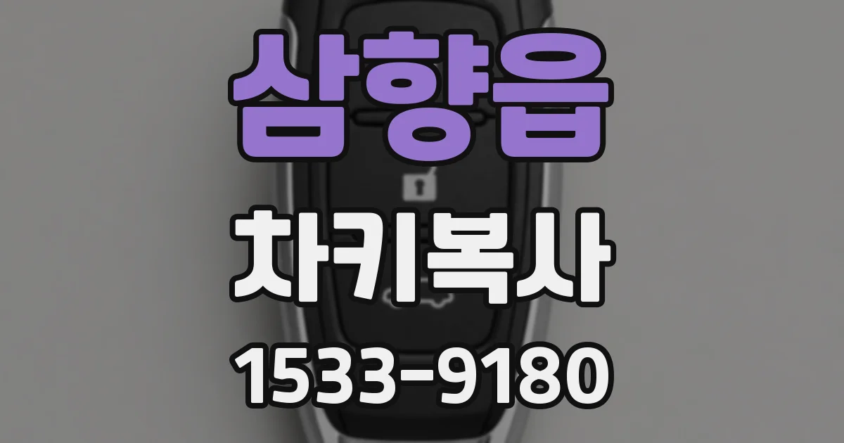 삼향읍 차키복사