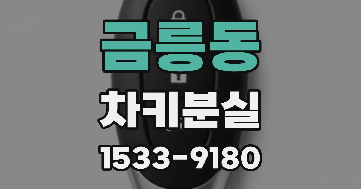 금릉동 차키분실