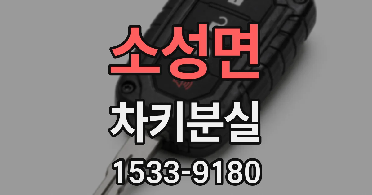 소성면 차키분실