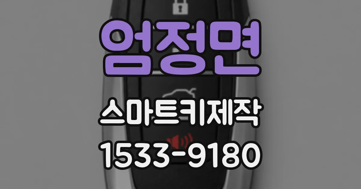 엄정면 스마트키제작