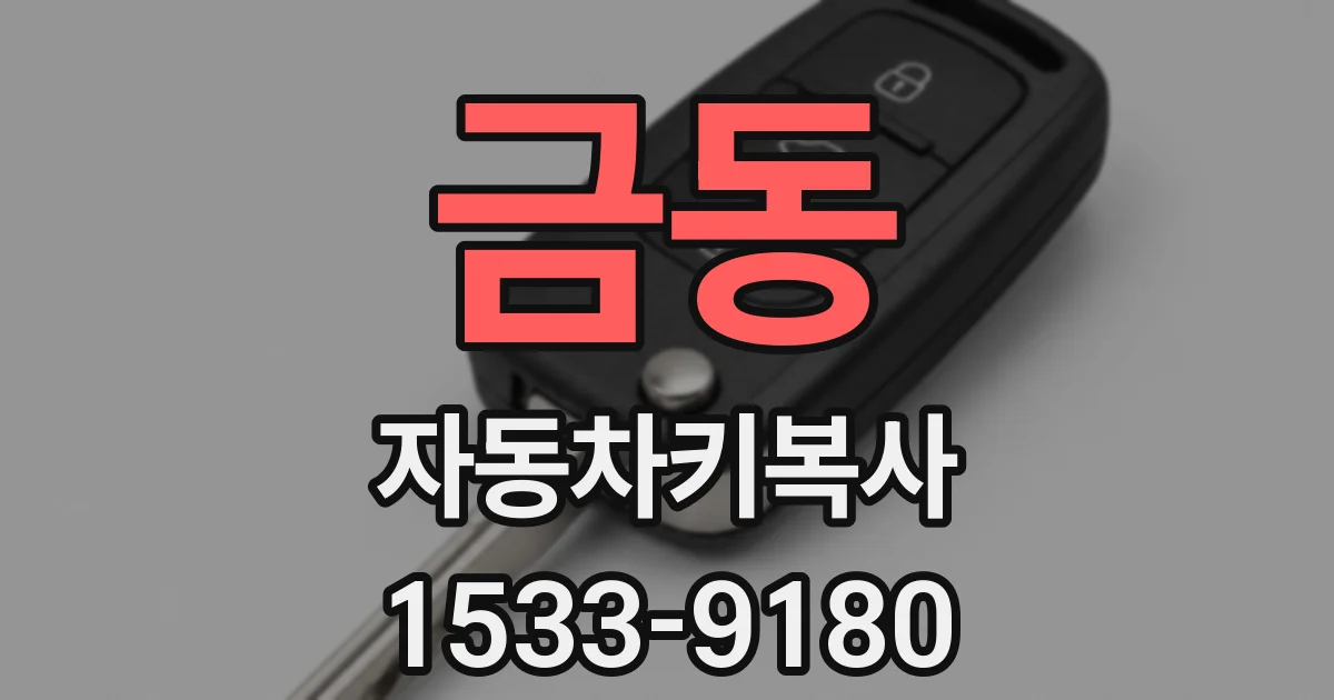 금동 자동차키복사