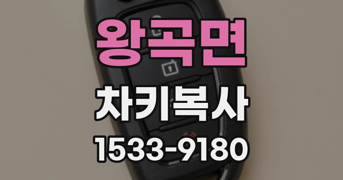 왕곡면 차키복사