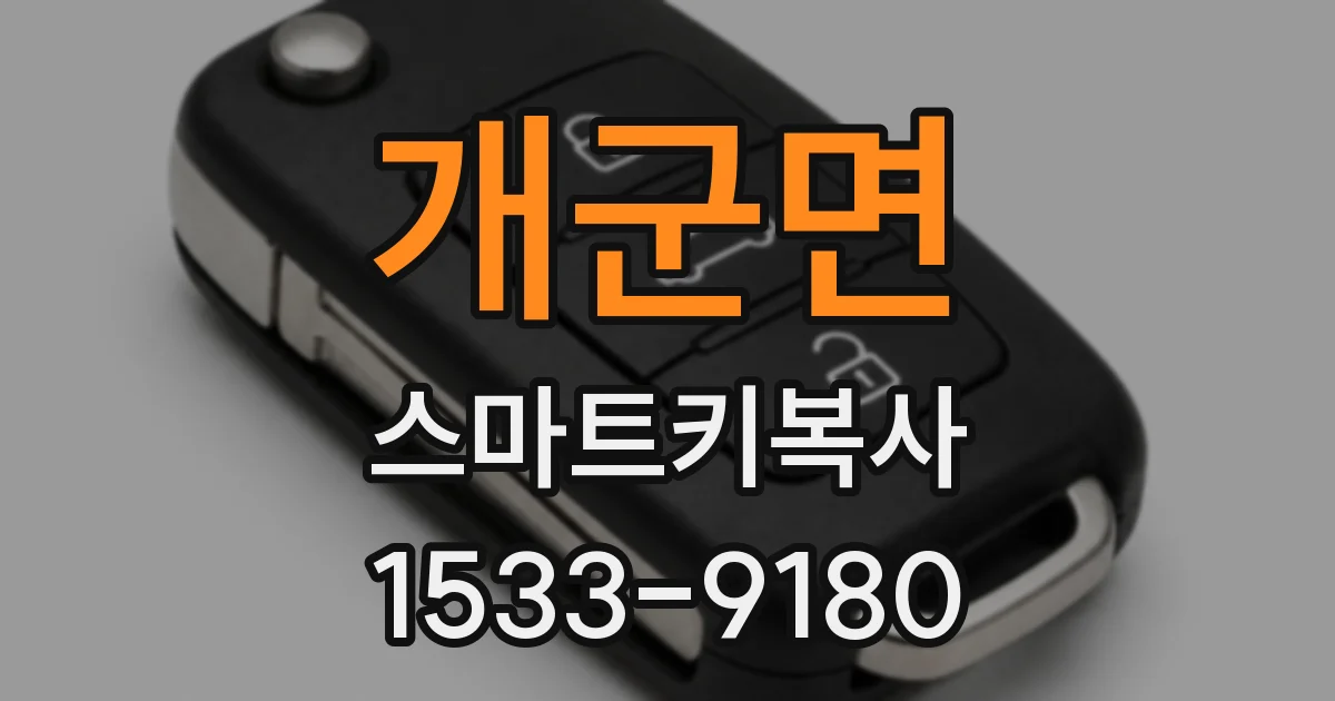 개군면 스마트키복사