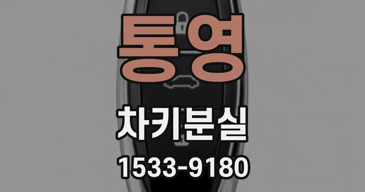 통영 차키분실