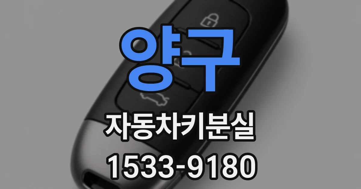 양구 자동차키분실