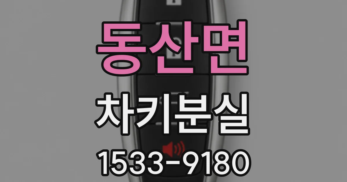 동산면 차키분실