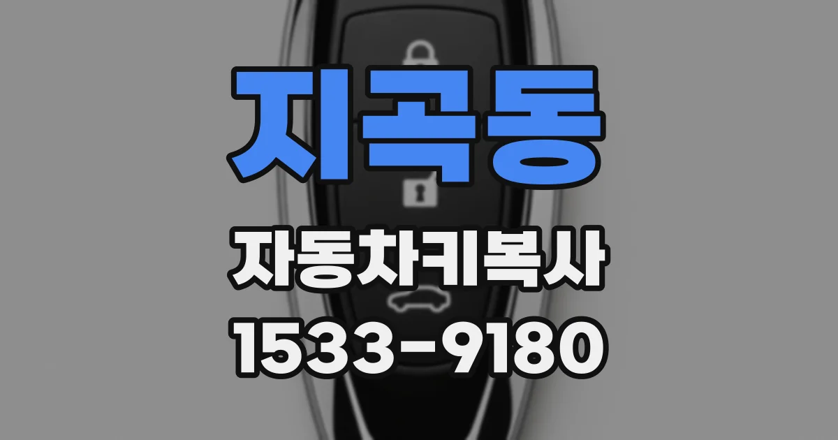 지곡동 자동차키복사
