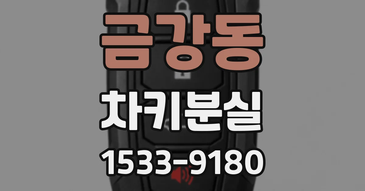금강동 차키분실