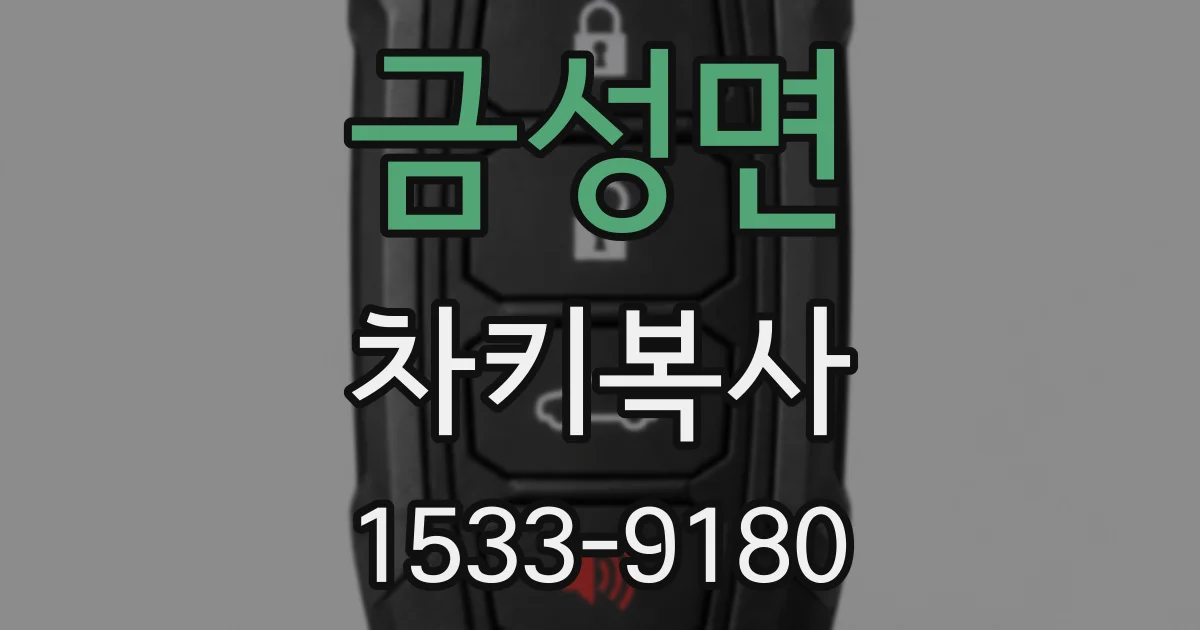 금성면 차키복사