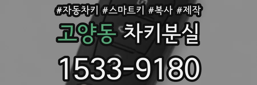 고양동 차키분실