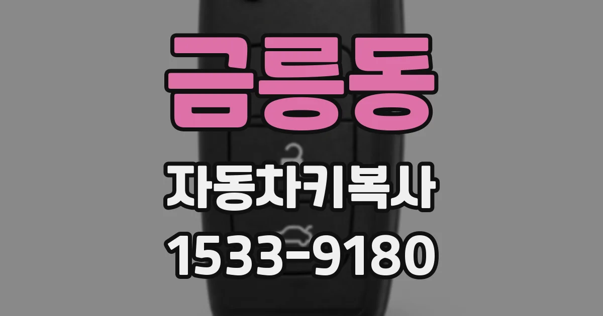 금릉동 자동차키복사