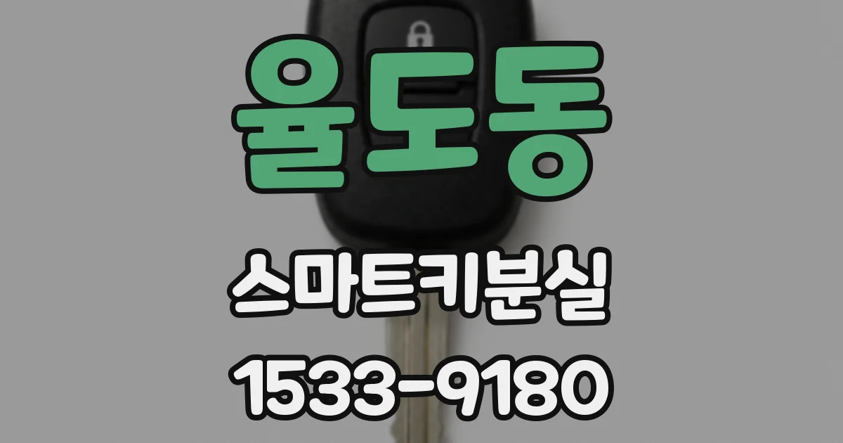 율도동 스마트키분실