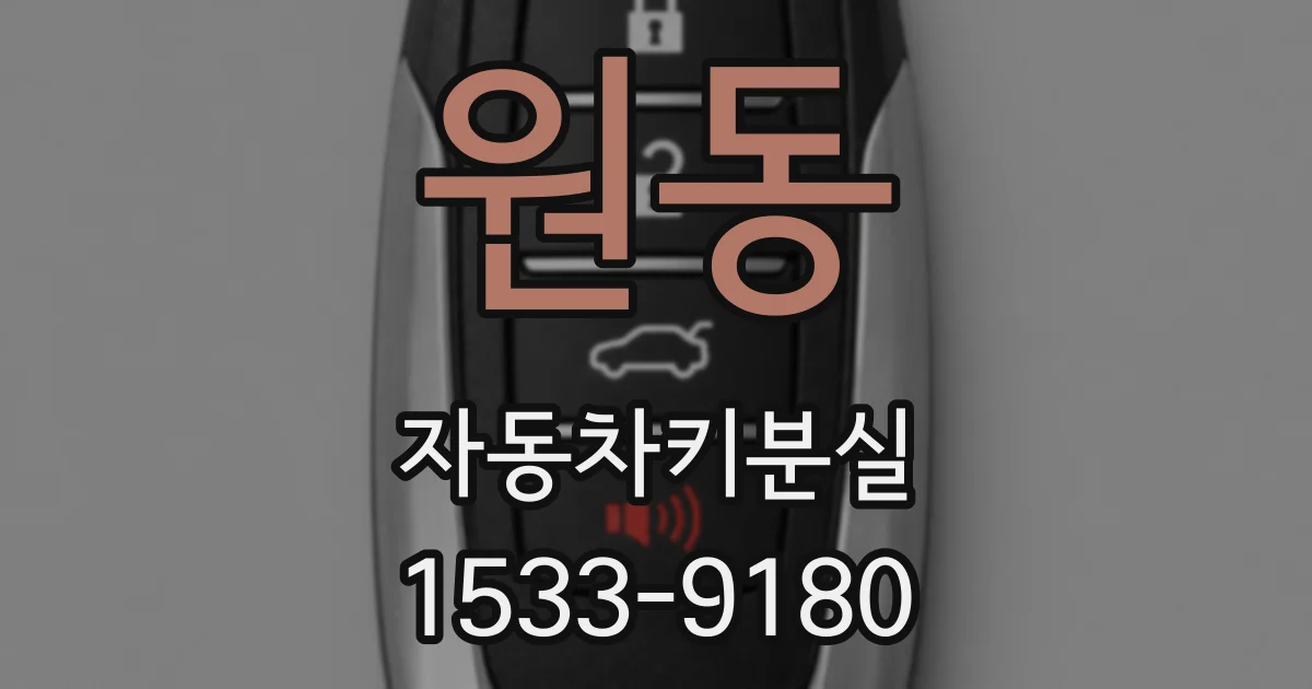 원동 자동차키분실