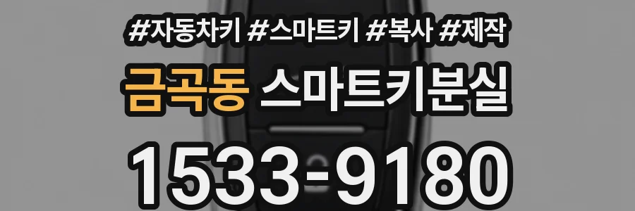 금곡동 스마트키분실