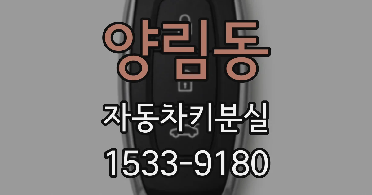 양림동 자동차키분실