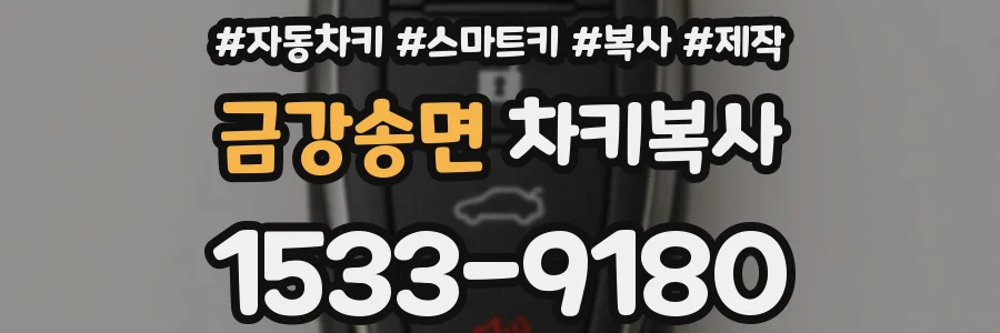 금강송면 차키복사