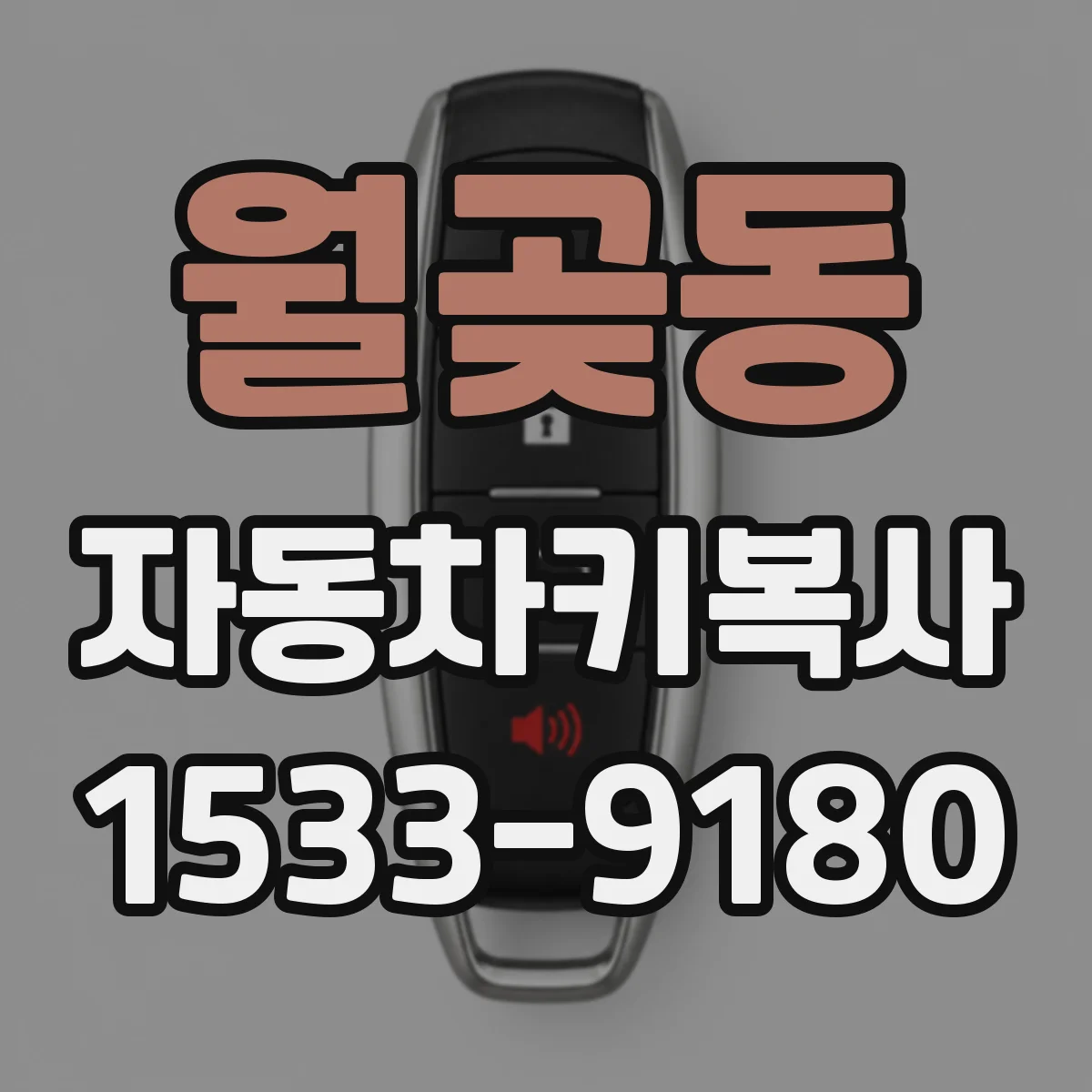 월곶동 자동차키복사