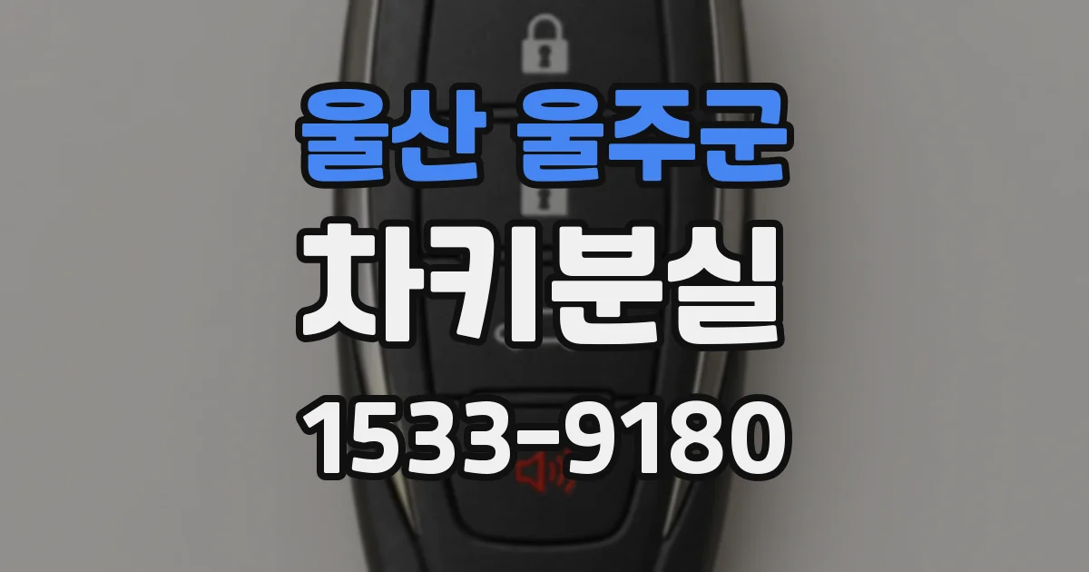 울산 울주군 차키분실