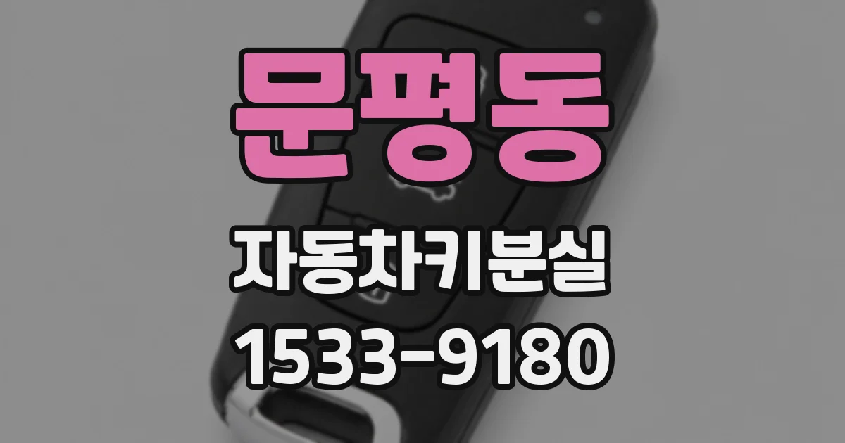 문평동 자동차키분실