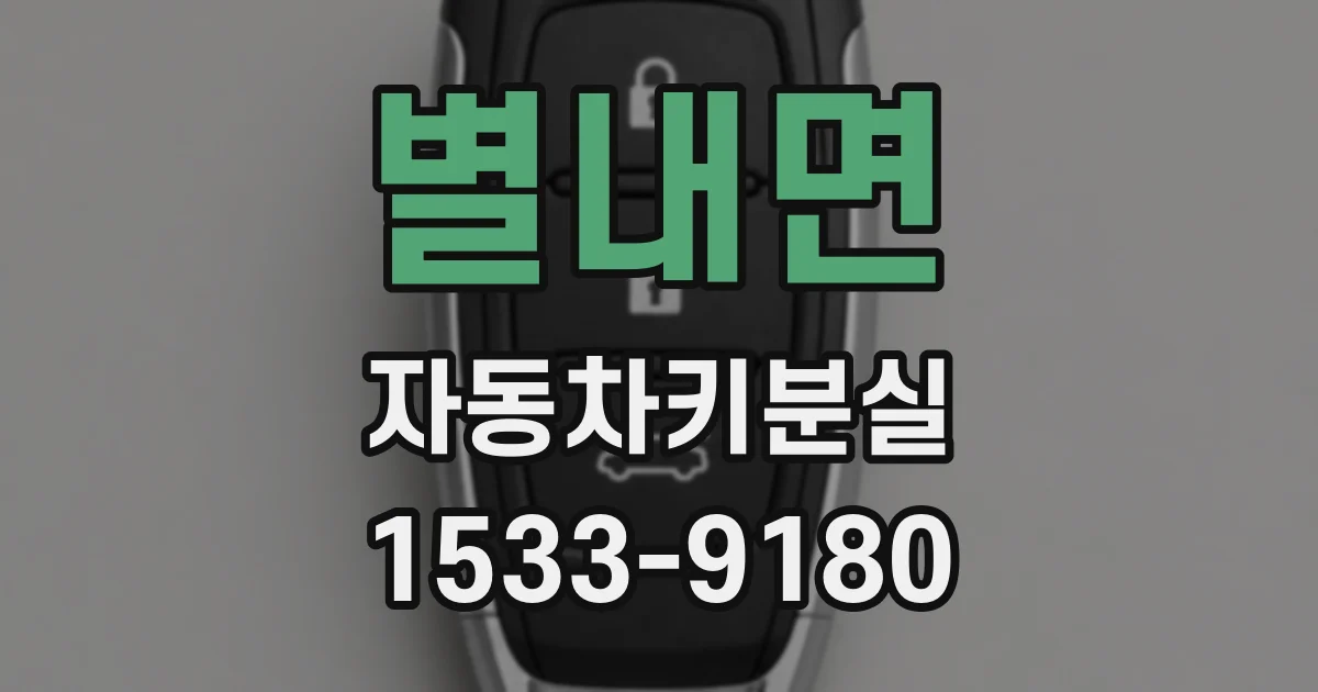 별내면 자동차키분실