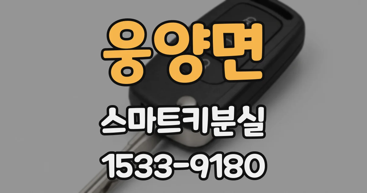 웅양면 스마트키분실