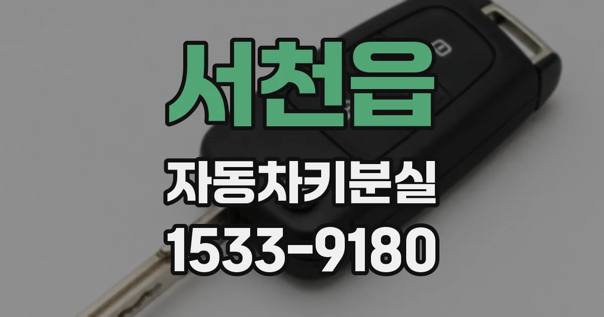 서천읍 자동차키분실