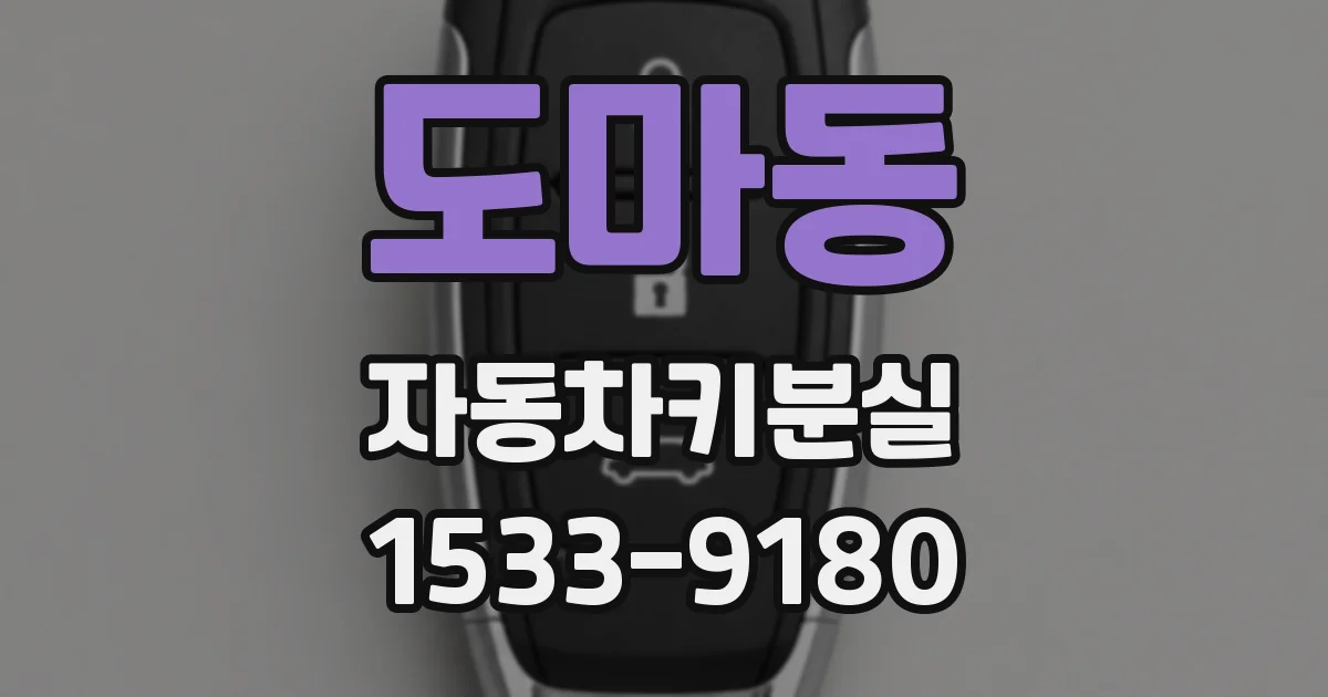 도마동 자동차키분실