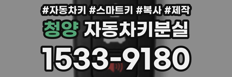 청양 자동차키분실