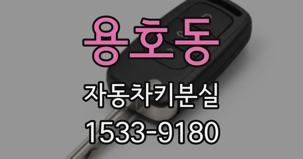 용호동 자동차키분실