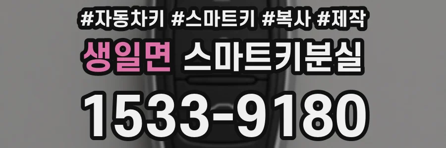 생일면 스마트키분실