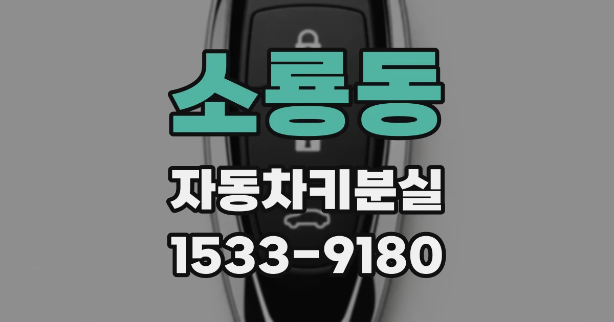 소룡동 자동차키분실