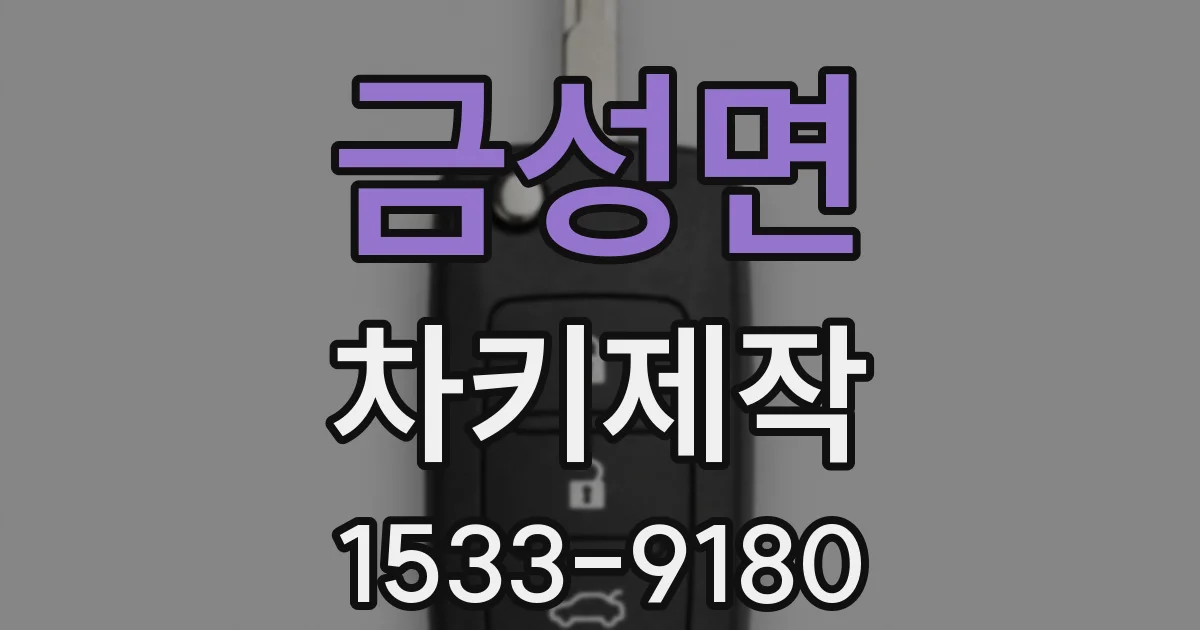 금성면 차키제작