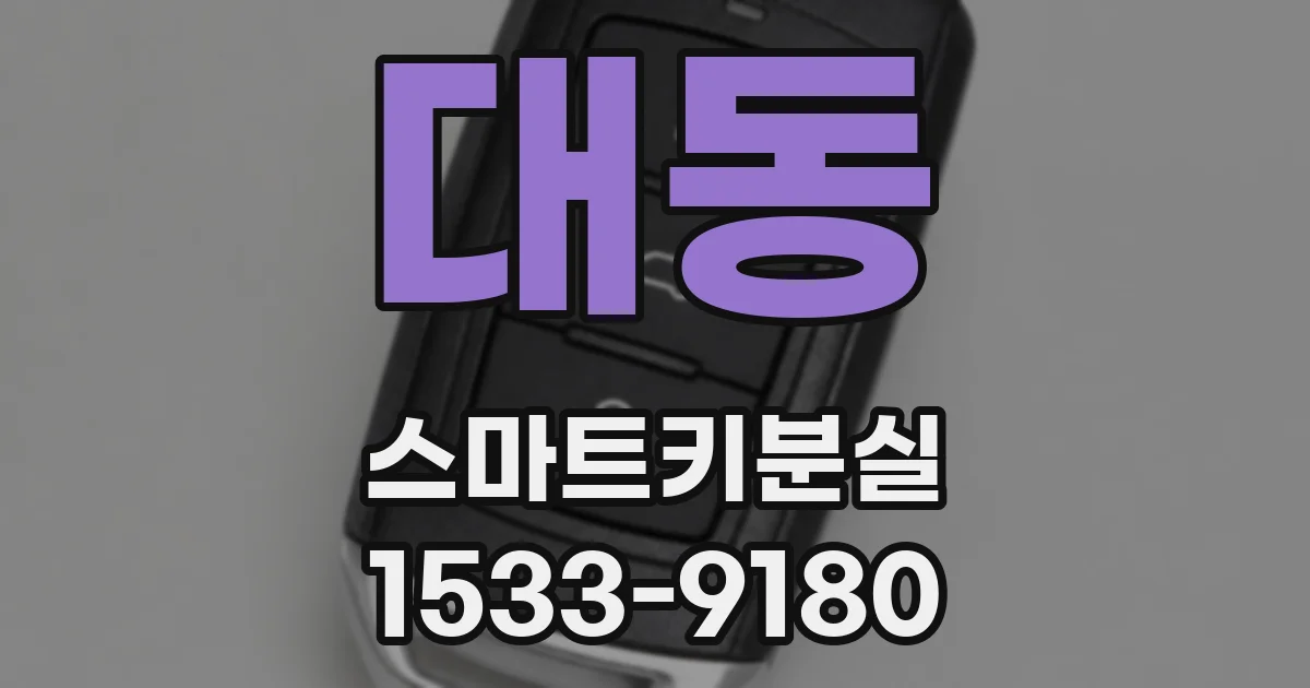 대동 스마트키분실