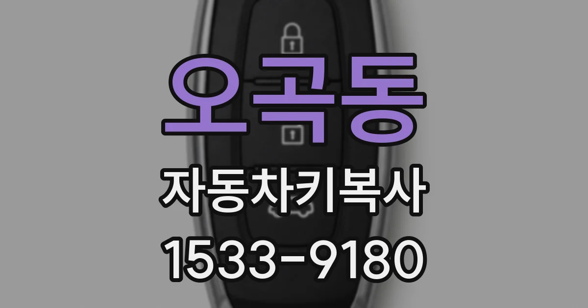 오곡동 자동차키복사