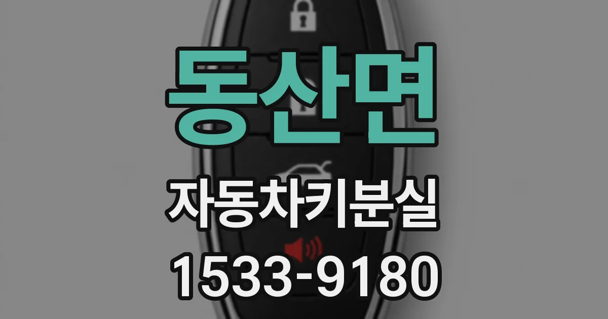 동산면 자동차키분실