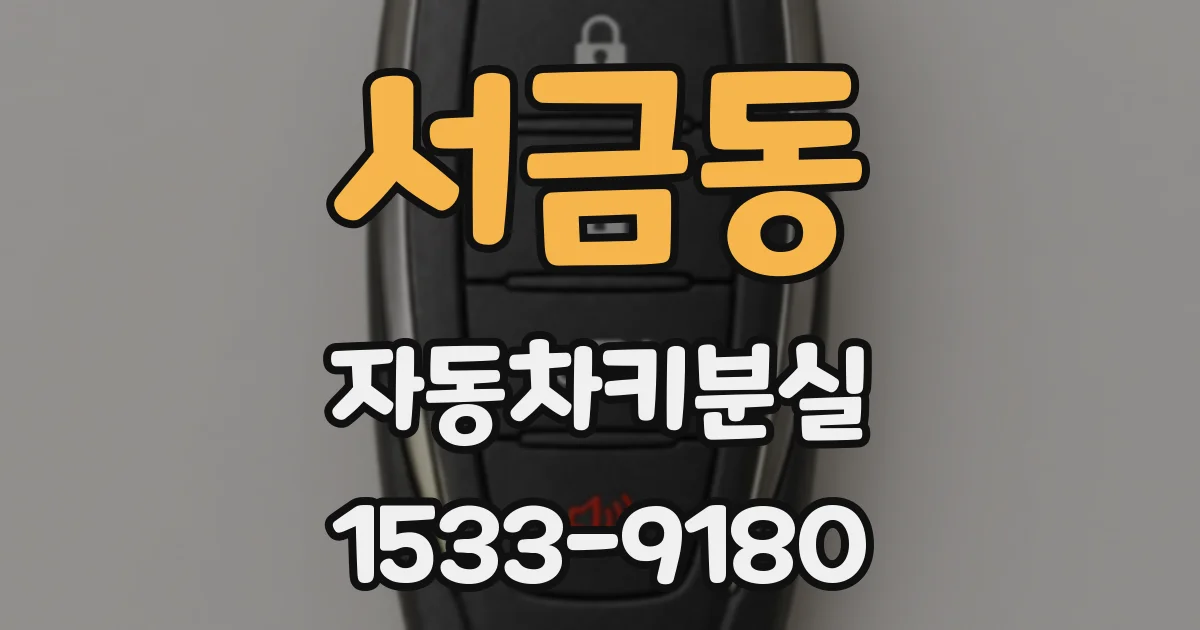 서금동 자동차키분실