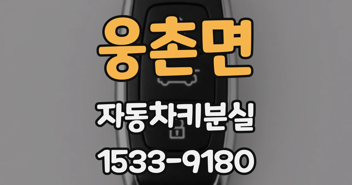 웅촌면 자동차키분실