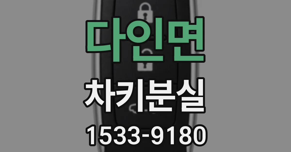 다인면 차키분실