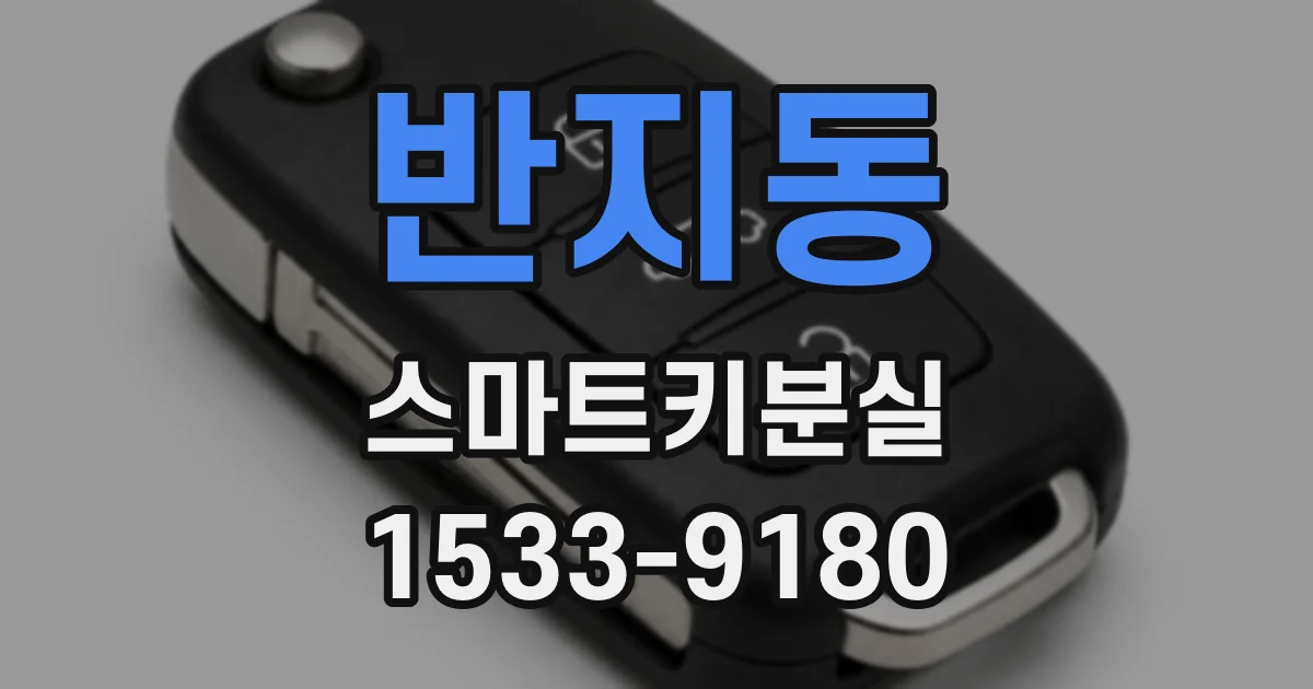 반지동 스마트키분실