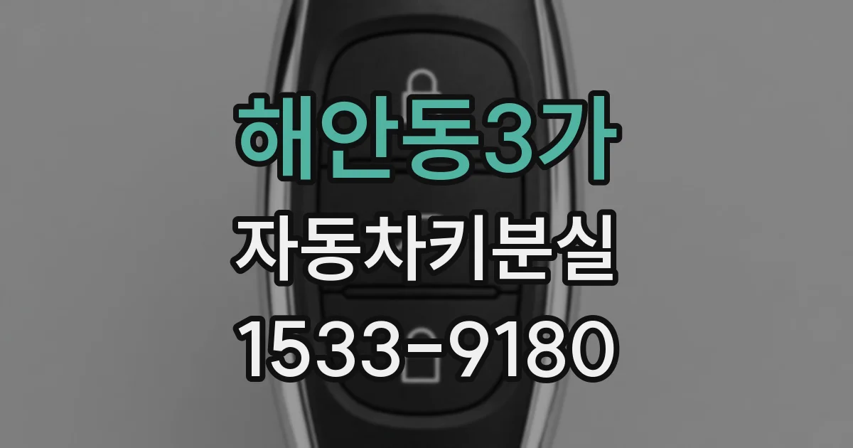해안동3가 자동차키분실