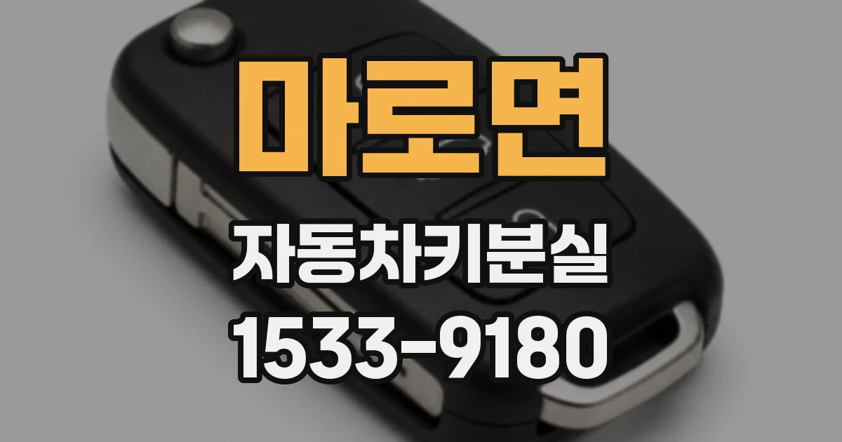 마로면 자동차키분실