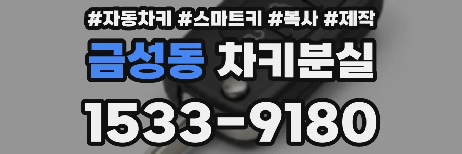 금성동 차키분실