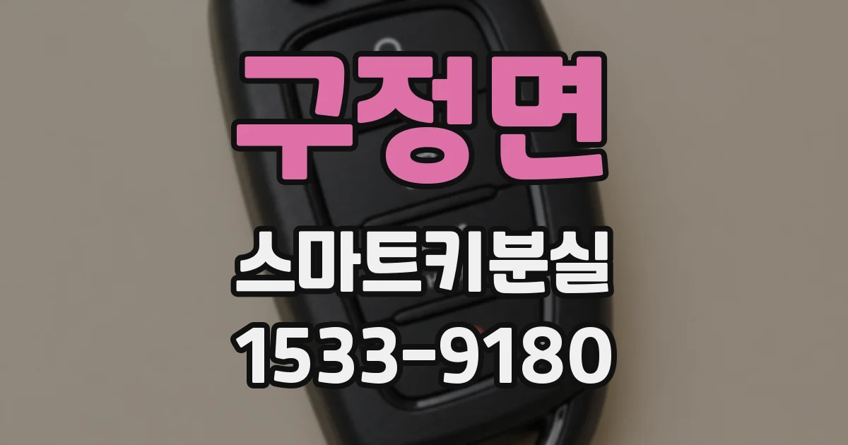 구정면 스마트키분실