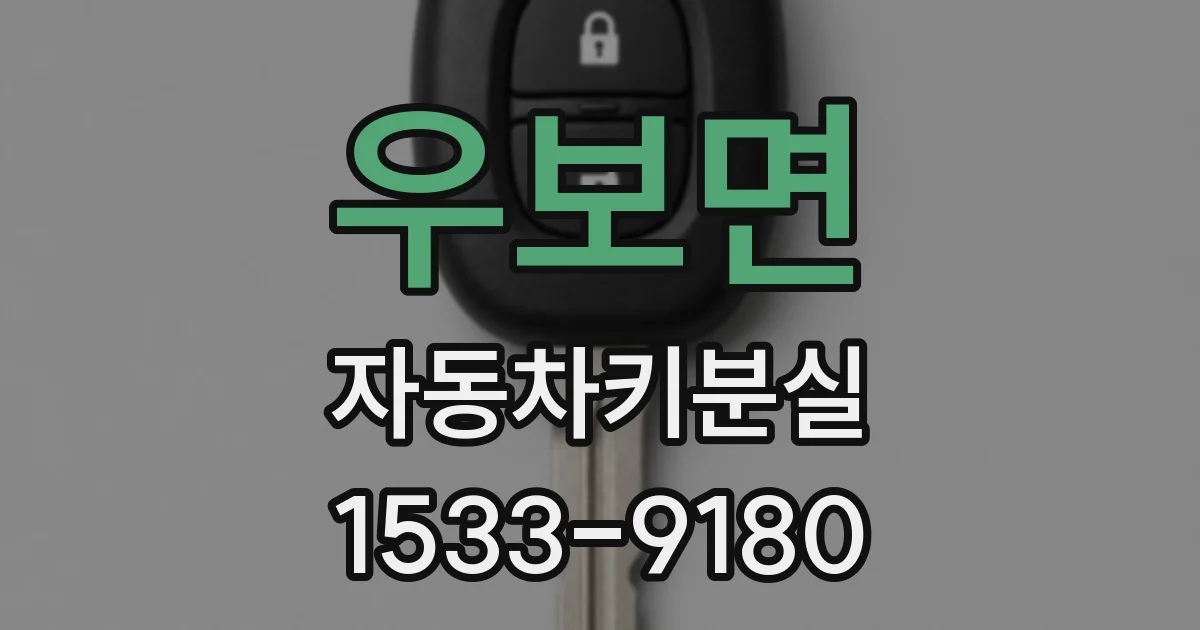 우보면 자동차키분실